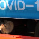 킹성인게임랜드 이미지