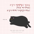 한강동물메디컬센터 이미지