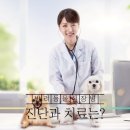 청진열쇠 이미지