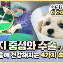 시흥탑동물의료센터 이미지