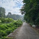 사등농장 이미지