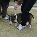 시골축산 이미지