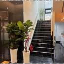 문스크린골프존 이미지