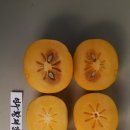 도신체육관 이미지