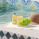 오롯이오늘 이미지