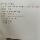대문자 P의 휴무일기