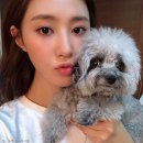 바른유리 이미지