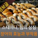 스테미나 힘의 상징 장어의 효능과 부작용 이미지