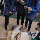 가루매 농장 | 시골투어와 양평농촌나드리가 함께한 양평 띵작 딸기 팸투어 후기