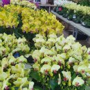 영전농장 이미지