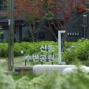 신동수변 이미지