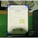 벼리나무
