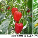 경제가스 정책브리핑