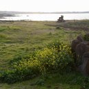 등머울 민박 이미지