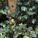 복심농장 이미지