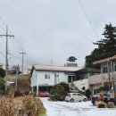 마리네 동물병원 이미지