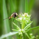 그해 여름 이미지