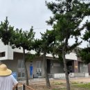 대구근교 당일치기로 오기 좋은 바다 감포 나정고운모래해변 후기