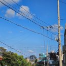 세화상회 | [틈만나면 제주] 뚜벅이 혼자 여행 in 세화 2박 3일 _ 2일차 기록