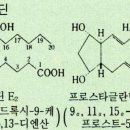 [달맞이꽃]과 [프로스타글란딘 Prostaglandin/ PG]의 효능? 이미지