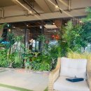 아르보(ARBOR) 이미지