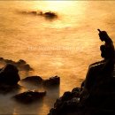 진주고등학교 이미지