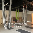 오얏요가 | 새로운 취미 운동 찾는다면 느좋 플라잉 요가 추천 | 오얏 요가