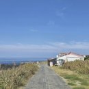 마라도 바다민박 이미지