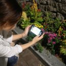 멍텅구리 이미지