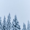 안평초등학교 이미지