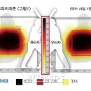 인플레이 이미지