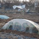 섬말농장 이미지