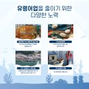 해성어구