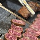 태백숯불갈비 | 수원 영통역 짚불태백 내돈내산 후기, 회식룸 우대갈비 구워주는 맛집