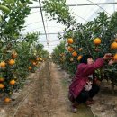 경순농장 이미지