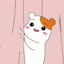 퍼널먼스