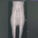 24시 코끼리동물병원 이미지