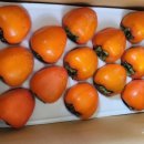 풍천대봉감농원 이미지