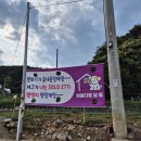 [정읍 숙소 추천] 나는솔로 27기 촬영지 정읍 독채펜션 내장산 근처 '아름다운 날 쉼' 솔직 후기!