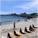 서프포인트 이미지