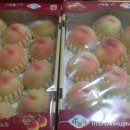 천중농장 이미지