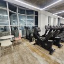 석봉프라자 | 김해헬스장 365핏 장유점 운동후기