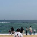 속초 가족여행 맛집 추천 봉포머구리 크로프트커피 속초붉은대게 커피고 벨라쿠치나