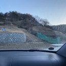 초촌리 고분군 이미지