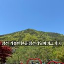 정선 가볼만한 곳 정선레일바이크 후기 (예약방법, 소요시간, 아이와함께, 주의사항)