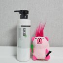 그린블랑 | 건성비듬샴푸 탈모 두피가려움 완화 블랑 베베 그린 헤드스파 멘톨향 미용실전용 추천 후기