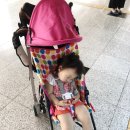 반송로513번길 66-11 이미지