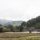 닭실마을 이미지