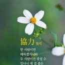 세겹줄