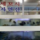 밀양시장횟집 이미지